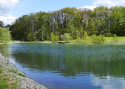 St.-Gabriels-Monastery-Front-Pond