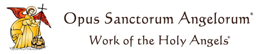 Ministry - Work of the Holy Angels